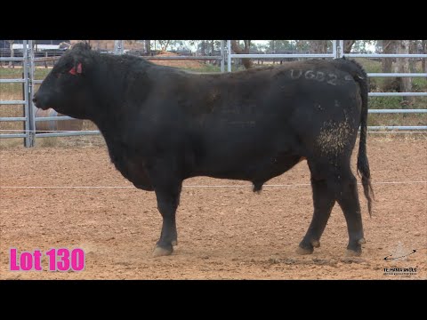 Lot 130 Te Mania Undiscovered VTM23U682