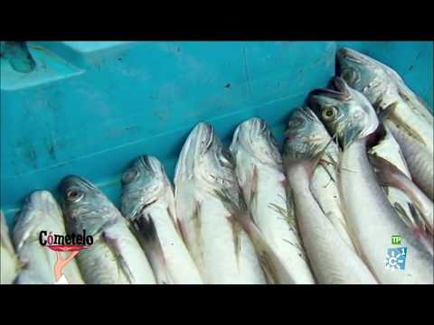 Cómo cocinar las pijotas