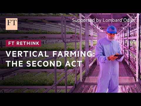 Is vertical farming finally ready to feed the world?