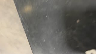 Máy chà nhám Midhage Barracudas-4 để bán - Hình ảnh 4 | Machineryline VN Máy chà nhám Midhage Barracudas-4 | Hình ảnh 4 - Machineryline