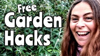 Free Garden Hacks - Frugal Vlog May 2026 | Thrifting, Street Finds & Frugal Living