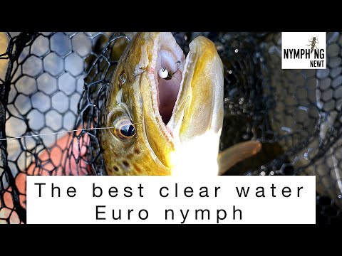 Fly tying the best clear water euronymph for trout and grayling fishing, fly tying the NN WBO