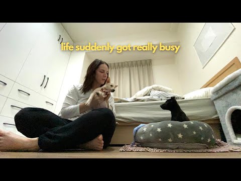 A vida ficou agitada aqui em Hsinchu de repente | Taiwan Vlog 🇹🇼
