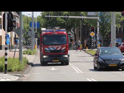 PRIO 1 : GEZONDHEID (INZET BRW: RTB) HERMES SERVICE PROFESSOR DR DORGELOLAAN EIN : 2331