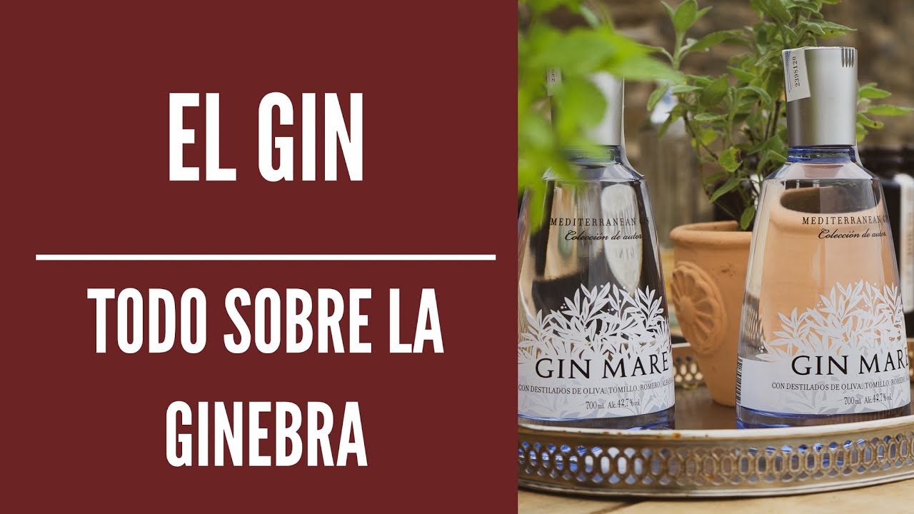 COMO SE HACE LA GINEBRA ( HISTORIA, PRODUCCIÓN Y CATEGORIAS )