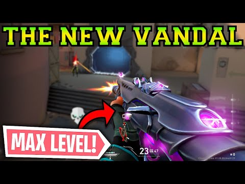 HiKO EXPOSED ME To His Whole Stream LIVE! - Valorant