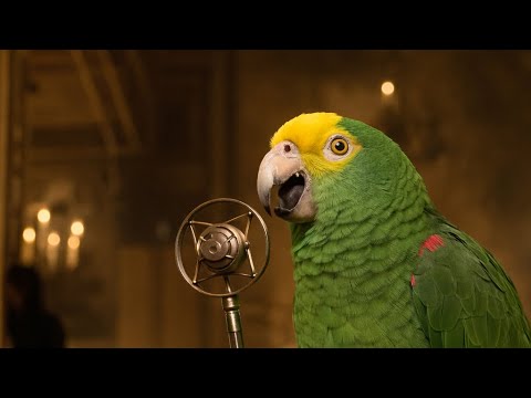 What Goes Around Comes All The Way Back Around 