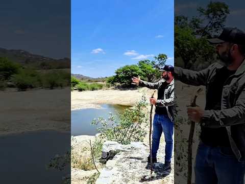 Fazenda em Serra Branca PB, medindo 288 hectares, Valor R$ 460.000,00