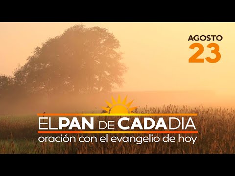Evangelio de hoy domingo 23 de agosto de 2020, EL PAN DE CADA DÍA, padre Efraín Castaño Arboleda