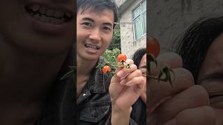 Download lagu Pagi yg Random ala jiajia wuxin #mixcouple #villagelife #china #village #happy mp3