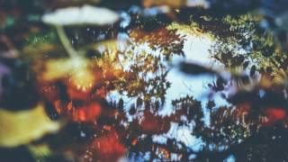 Blind Pilot - The Story I Heard