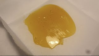 T-Rex Concentrates (Concentrate Review) by Strain Central