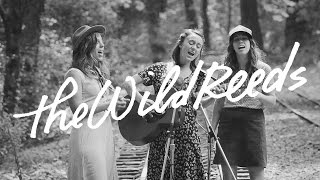 The Wild Reeds Perform &quot;The World We Built&quot;