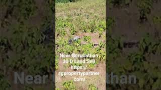  Residential Plot for Sale in 8th Mile, Kalimpong