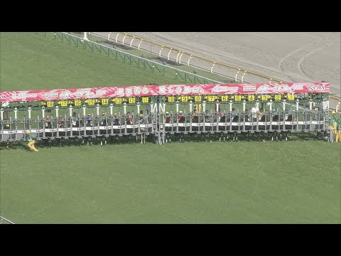 2021 Yushun Himba (Japanese Oaks) (G1)