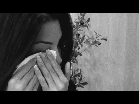 Dijital Meydan and 2 more