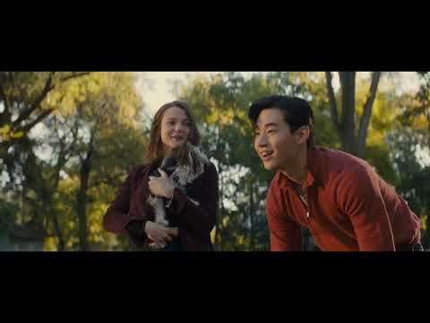 a dog's journey (2019) - max's death and ending