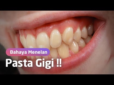 Kontol besar di vagina kecil Bagaimana meningkatkan panjang anggota seksual