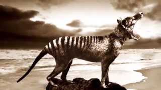 Russell Morris Van Diemen's Land 30 Second TVC - HD