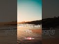 Bengali Sad Whatsapp Status Video Sad Quotes Sad Status Sad Video Sad Sadstatus Shayari