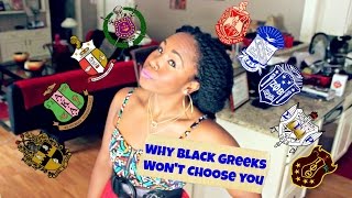 Black Greek Sororities & Fraternities || Reasons They WON'T Choose You (Opinions ONLY)