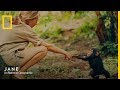 Official Trailer JANE National Geographic UK