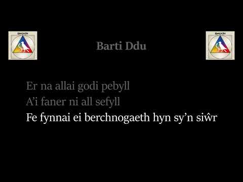 Barti Ddu - Bwncath