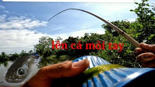Kỹ thuật câu cá lóc bằng cần tay - Bí quyết từ cao thủ