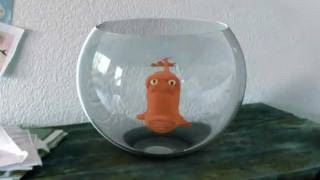 LE BLUES DU POISSON ROUGE