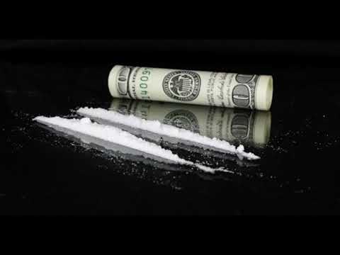 Pieczar x Rekin - Fresh