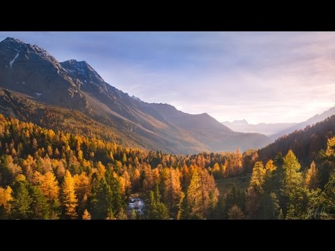 Hamster feat. ARI - Excuse Me (Official Music)