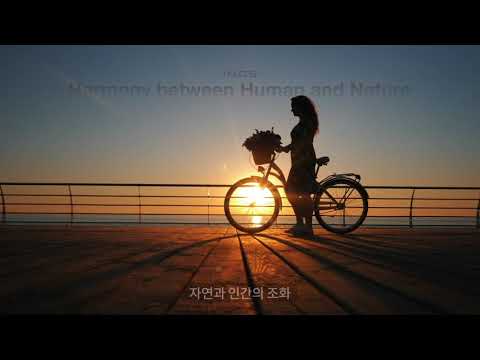 확장형인도교 캔틸레버