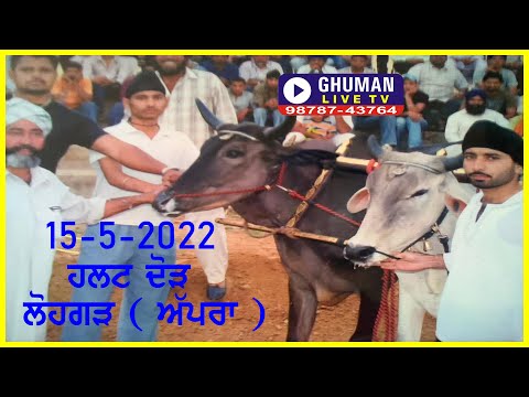 HALT RACE // LOHGARH // GORAYA // 15-5-2022