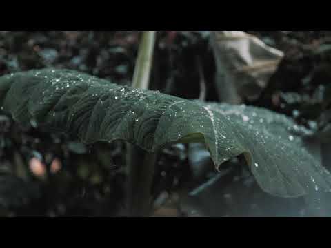 'Til Summer Comes Around {SLOWED AND REVERBED 432 HZ} by Keith Urban