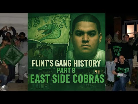 The Wild History of Flint’s Most Dangerous Gangs (Part 9) The East Side Cobras 