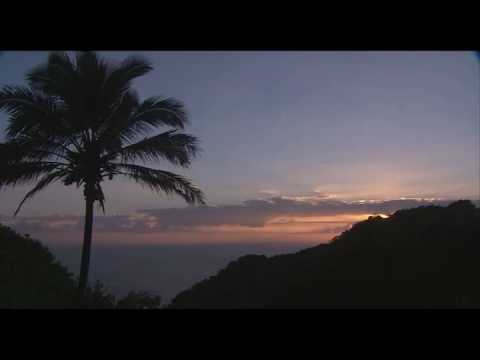 Jean Pierre Posit -  Magie D amour ( magic of love)