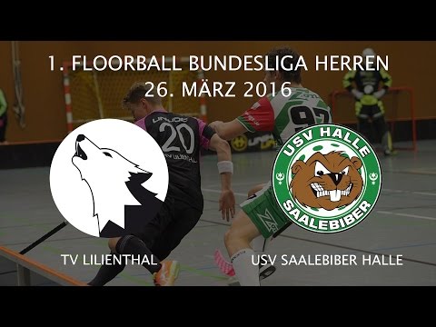 Highlights: TV Lilienthal - USV Saalebiber Halle / 17. Spieltag 2015 / 2016