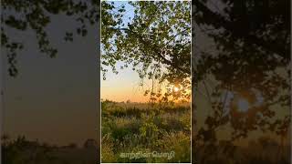 Download lagu Katrin mozhi song/mozhi movie whatsapp status/vidhyasagar songs mp3
