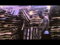 Bow Wow - Shit On My Mind