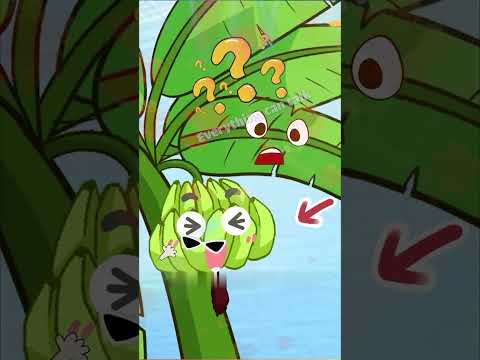 #S137 | The more curved the banana, the sweeter it is