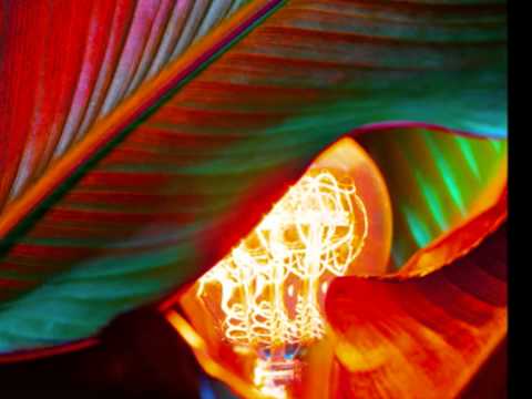 Video thumbnail for Scottish Widows