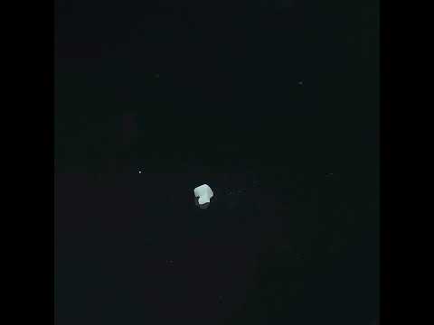 YouTube 썸네일
