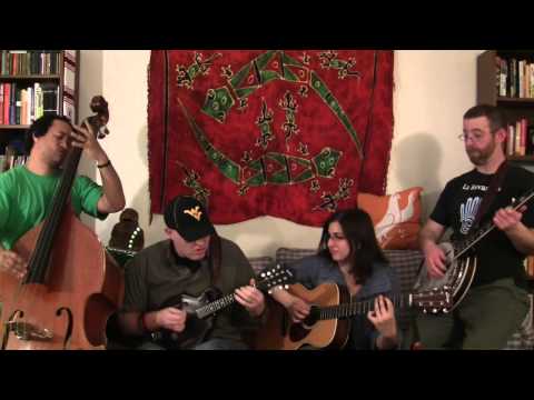 Shocking Blue - Love Buzz: Couch Covers by The Student Loan Stringband