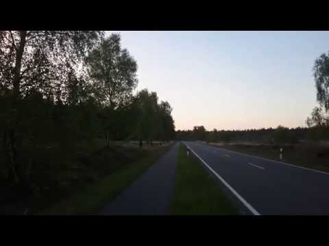 Honda Dax - Takegawa 106cc SCUT Kit