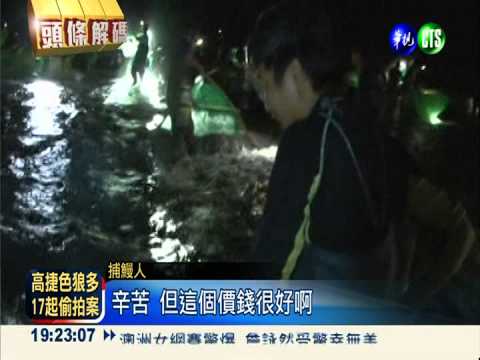 摸黑捕"白金" 出海口亂流恐奪命