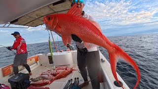 Download lagu THIS IS A CRAZY SPOT❗️❗️ THE BAIT GOES DOWN AND IS IMMEDIATELY BRUSHED❗️ MR NICE GUY mp3