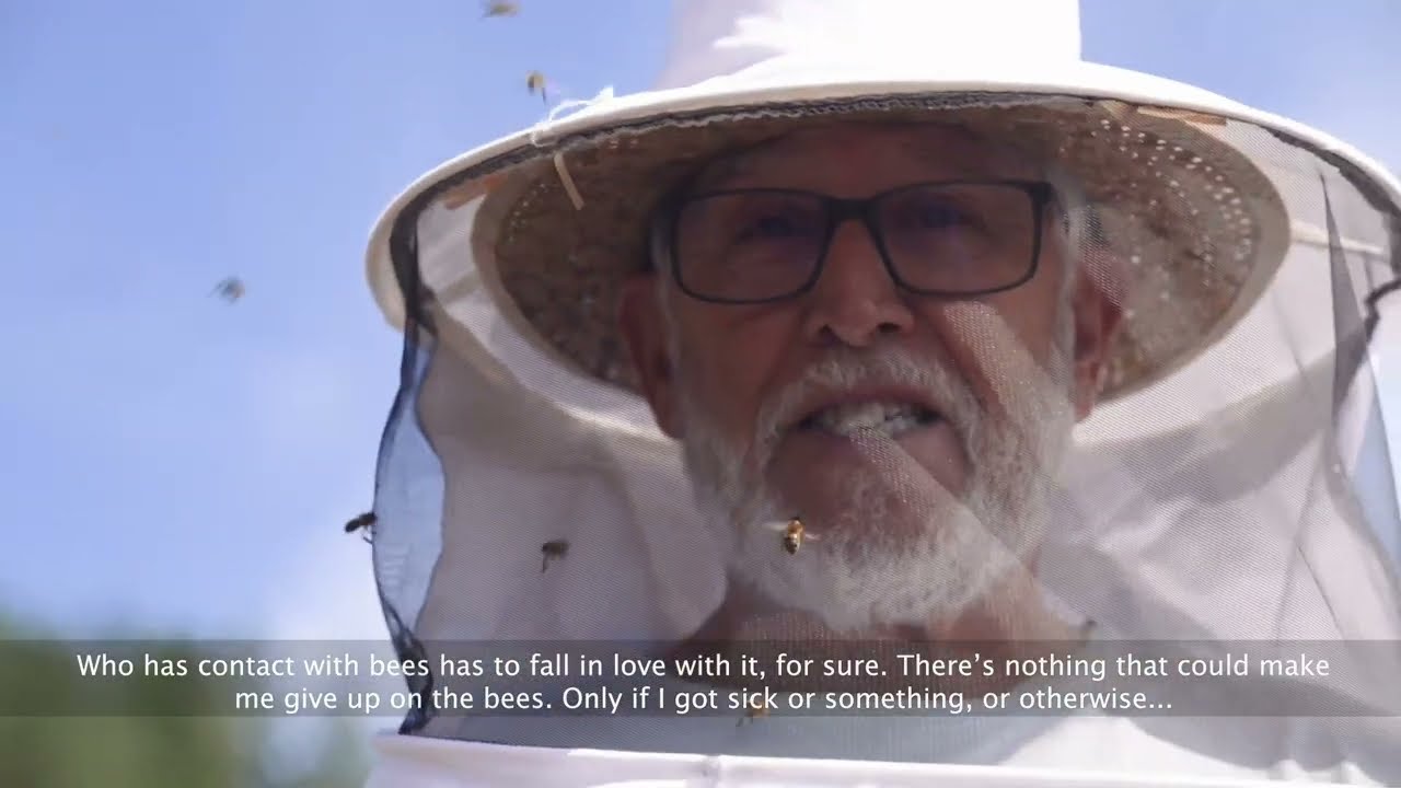 A Million Food Stories Honey - FOOD GIFTS FROM THE REGIONS OF GASTRONOMY