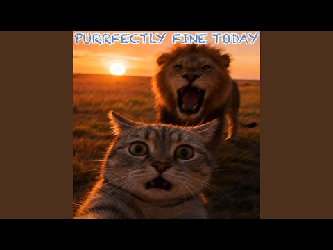 All Set For Another Round