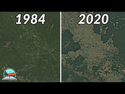 Die Natur verschwindet | 30x30-Bewegung erklärt