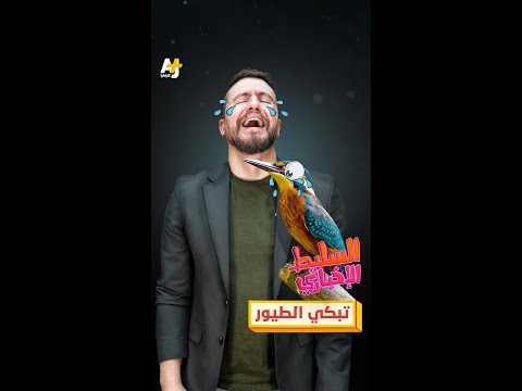 AJ+ كبريت